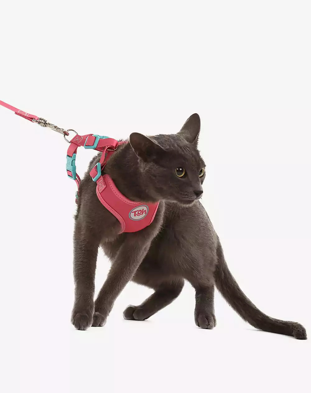 Conjunto Peitoral Neocomfy e Guia para Gatos Fiji