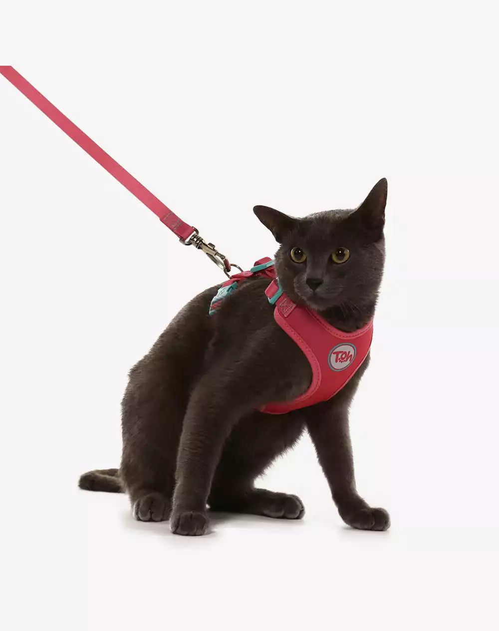 Conjunto Peitoral Neocomfy e Guia para Gatos Fiji