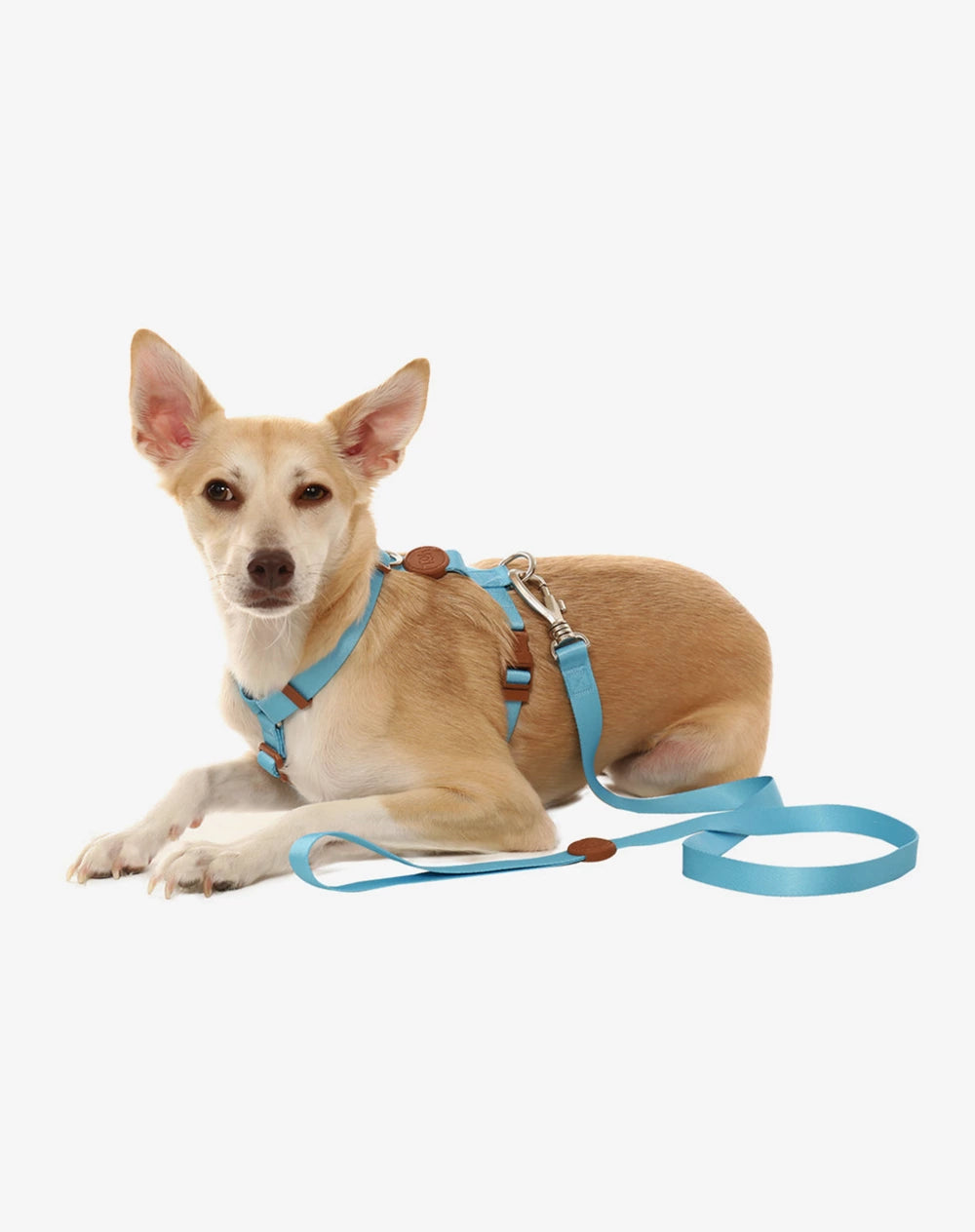 KIT VIAGEM - Conjunto Peitoral H e Guia + Adaptador de cinto Azul