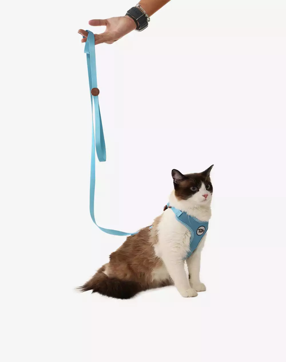 Conjunto Peitoral Neocomfy e Guia para Gatos Azul