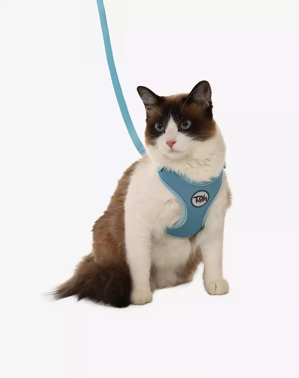 Conjunto Peitoral Neocomfy e Guia para Gatos Azul