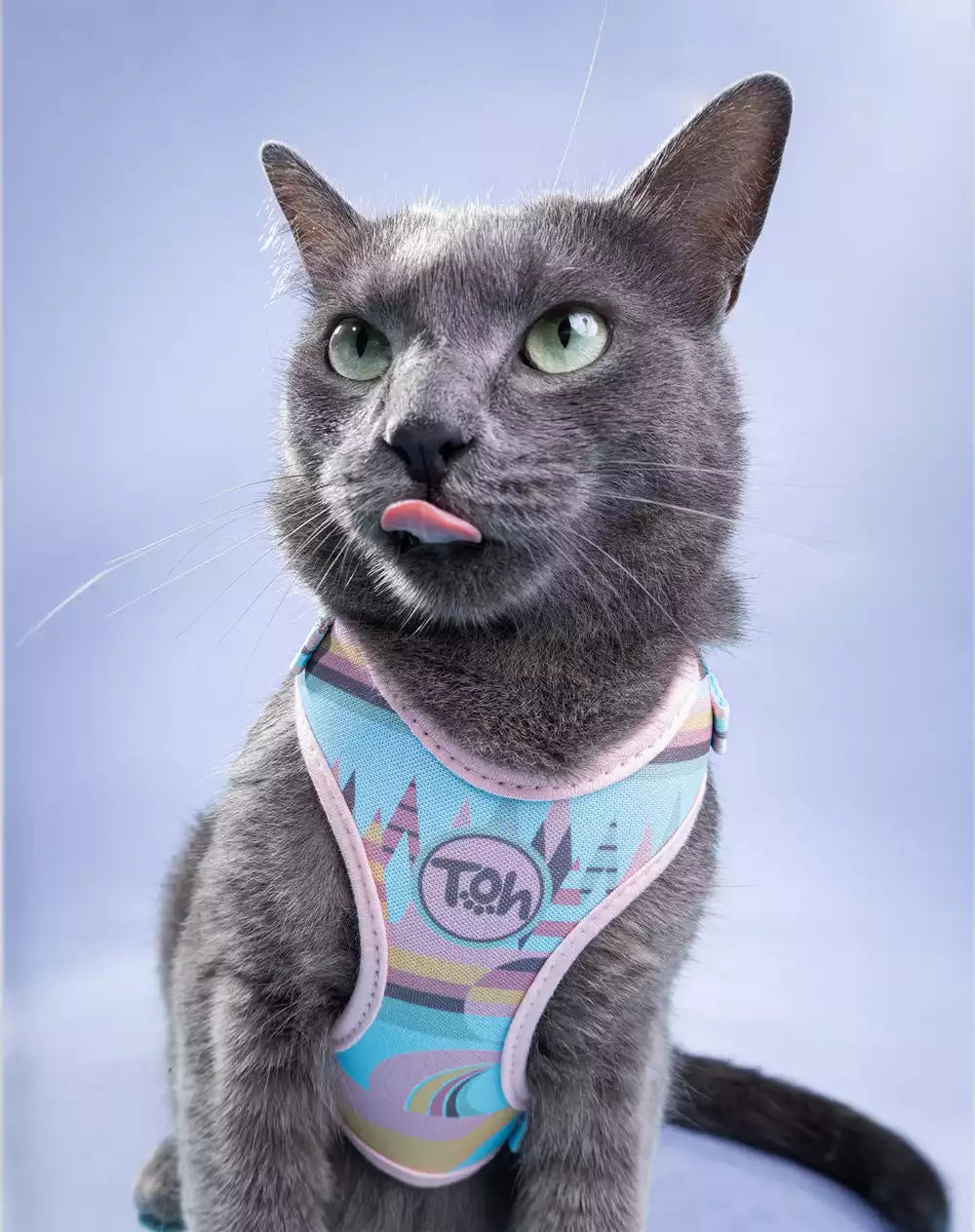 Conjunto Peitoral Neocomfy e Guia para Gatos Atacama