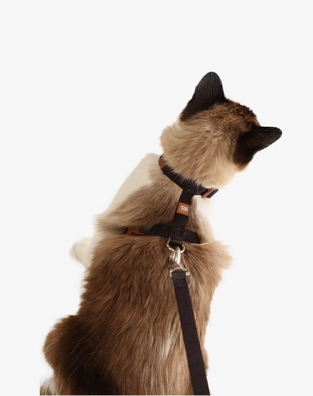 Peitoral H de Gato + Guia Preto - Caqui