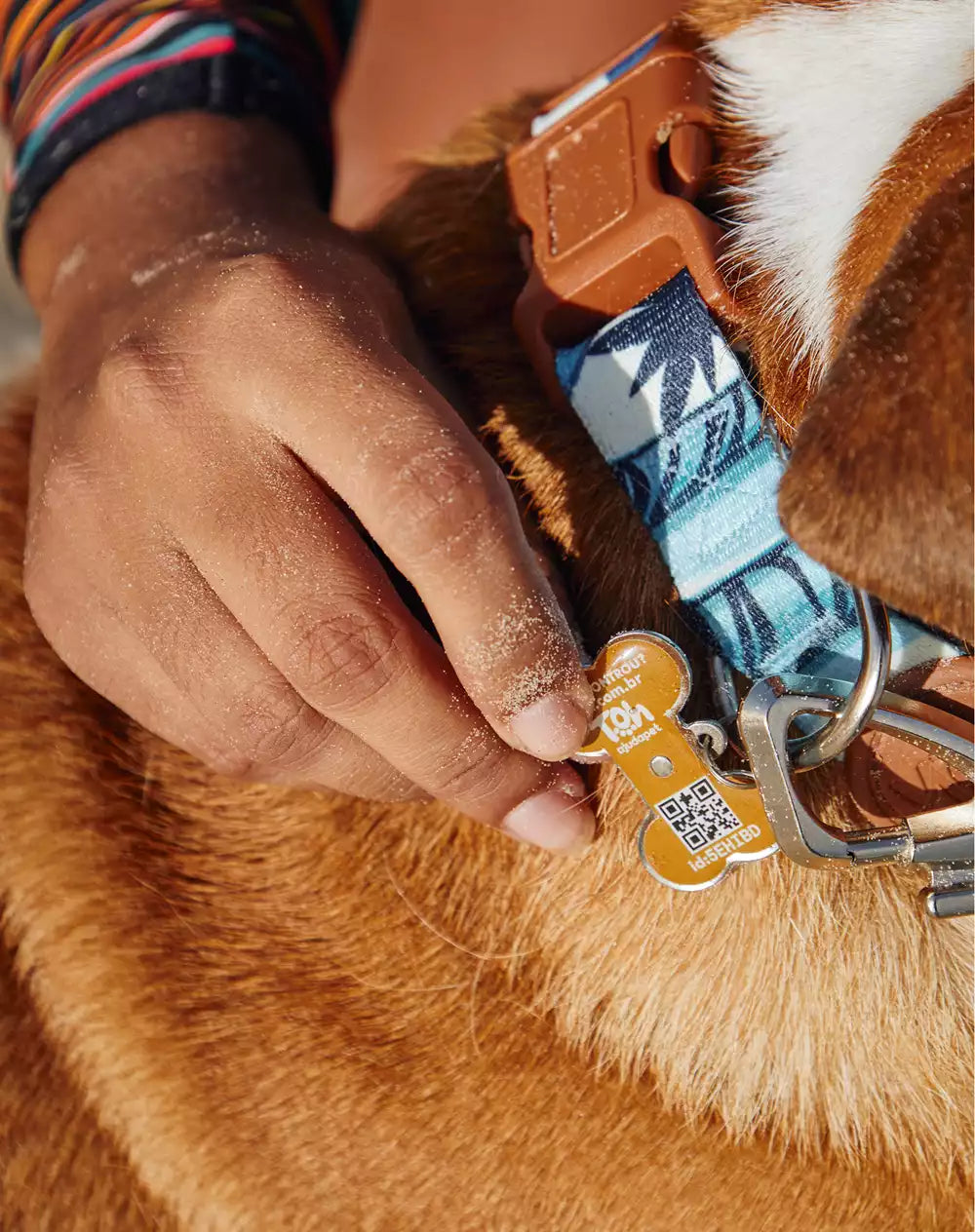 Coleira Tag ID QR Code Noronha