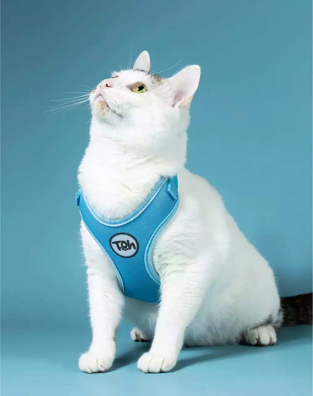 Conjunto Peitoral Neocomfy e Guia para Gatos Azul