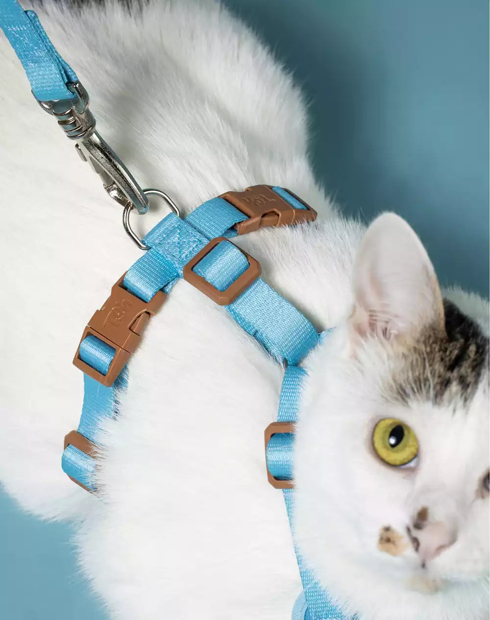 Conjunto Peitoral Neocomfy e Guia para Gatos Azul