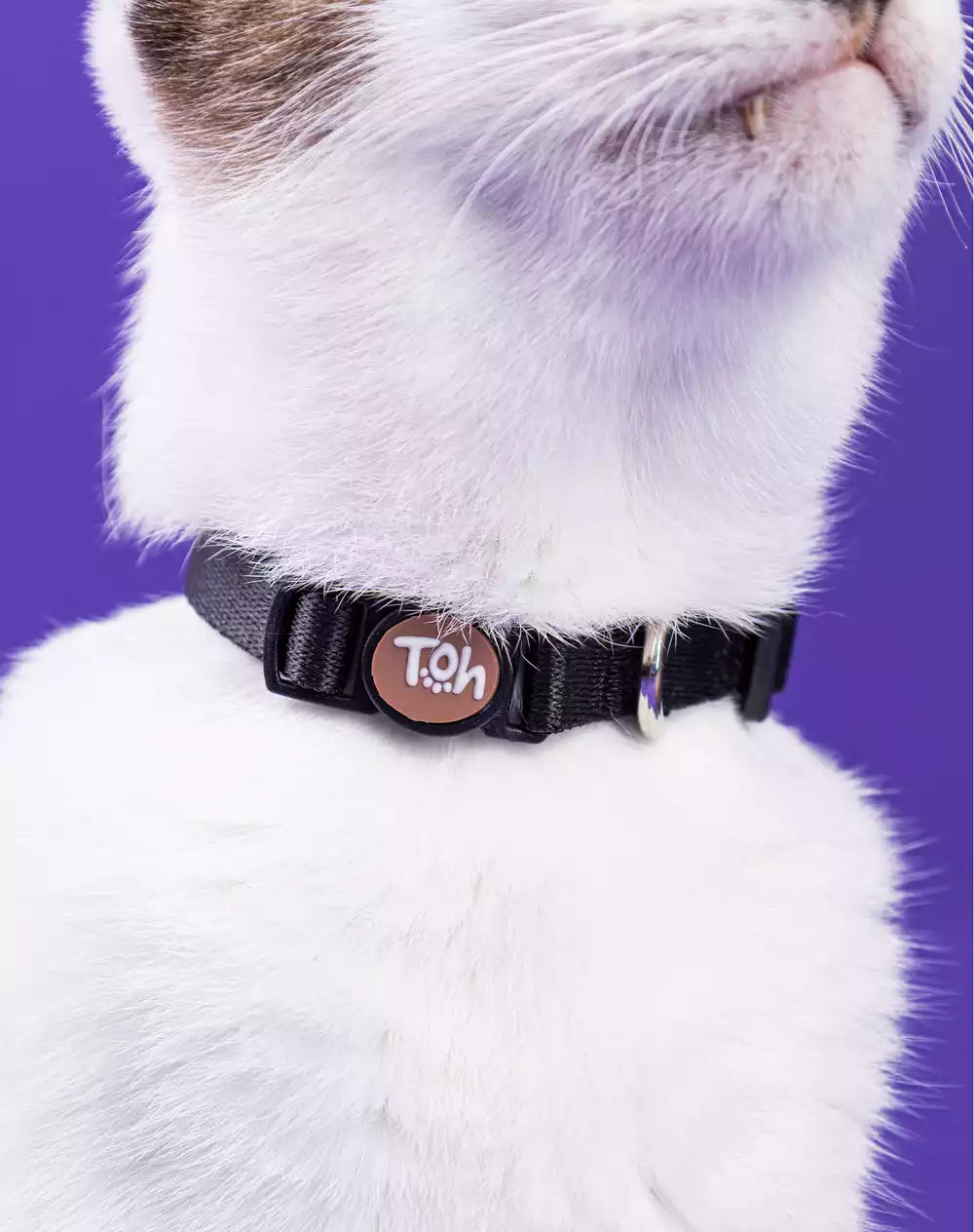 Coleira de Gato Black