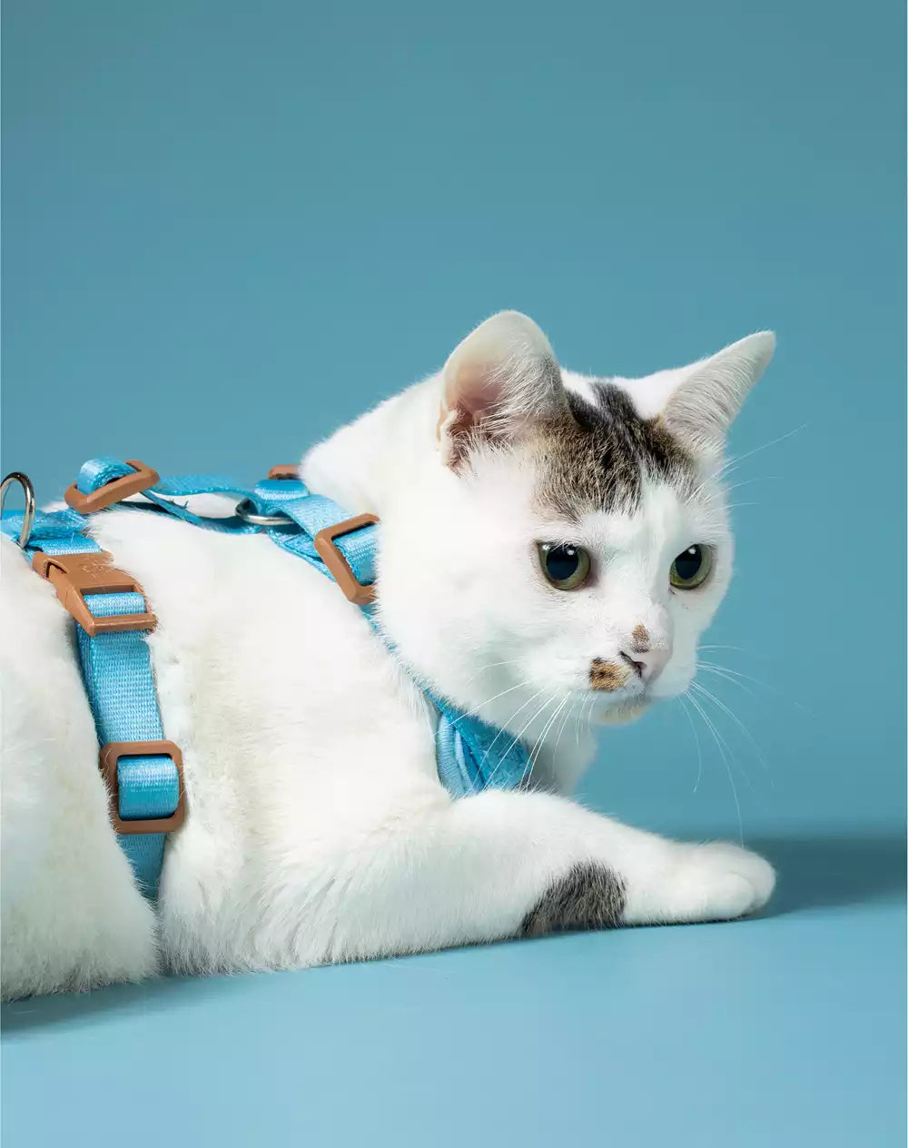 Conjunto Peitoral Neocomfy e Guia para Gatos Azul