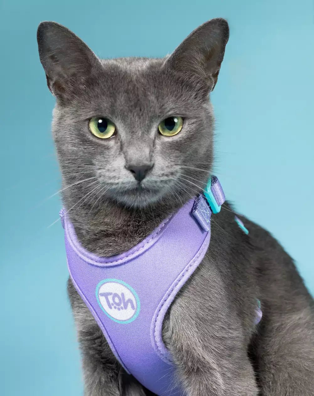 KIT VIAGEM - Peitoral Neocomfy e Guia para Gatos + Adaptador de Cinto Lilás