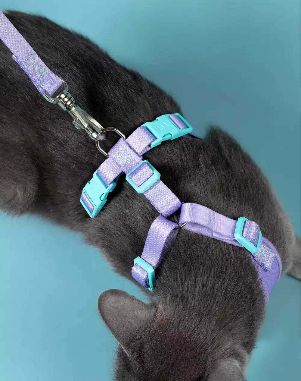 Conjunto Peitoral Neocomfy e Guia para Gatos Lilás