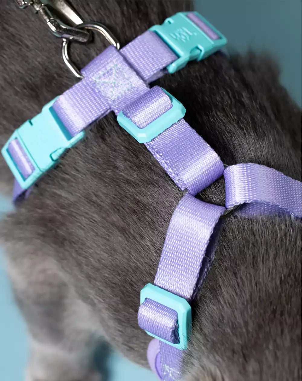 Conjunto Peitoral Neocomfy e Guia para Gatos Lilás