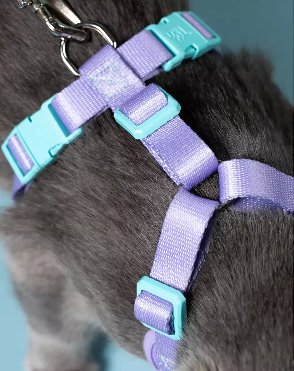 KIT VIAGEM - Peitoral Neocomfy e Guia para Gatos + Adaptador de Cinto Lilás