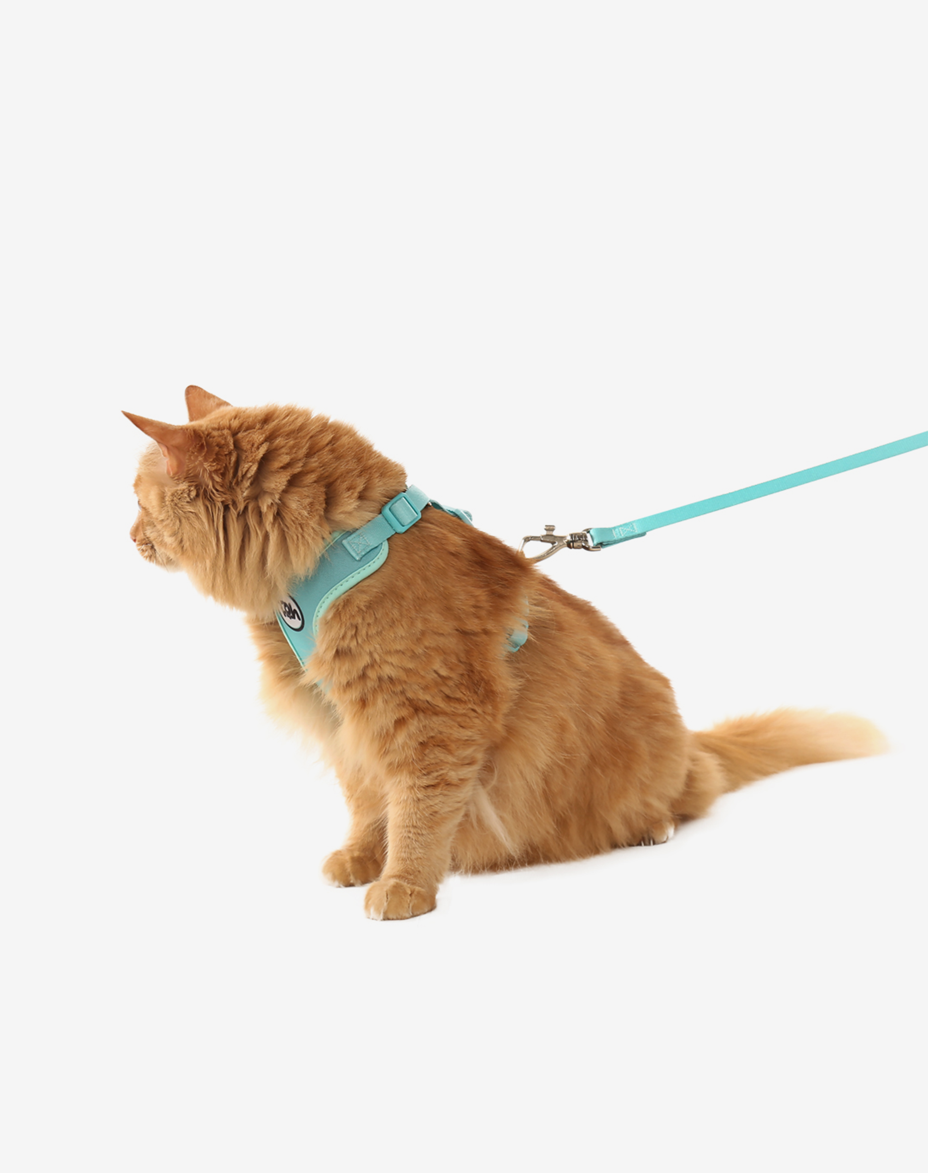Conjunto Peitoral Neocomfy e Guia para Gatos Maresia