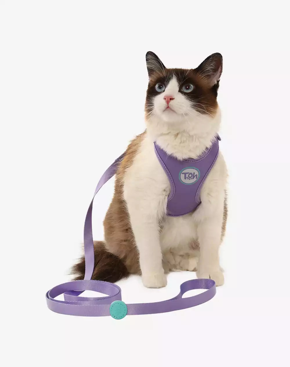 Conjunto Peitoral Neocomfy e Guia para Gatos Lilás