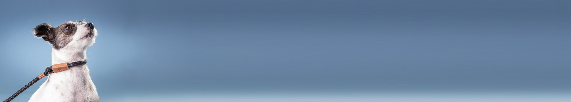 Imagem Desktop