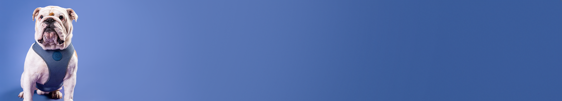 Imagem Desktop