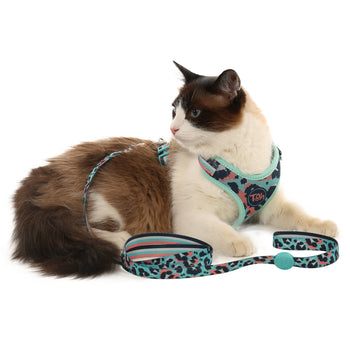 Conjunto Peitoral Neocomfy e Guia para Gatos Savana