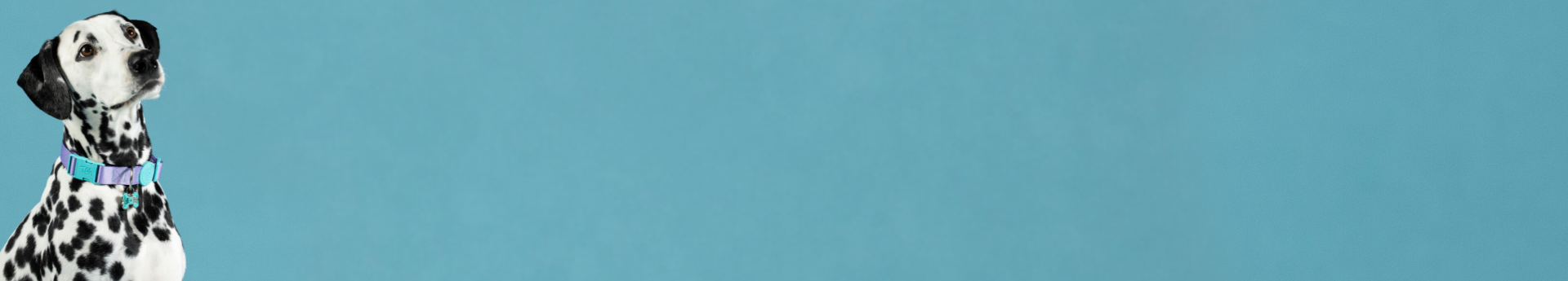 Imagem Desktop