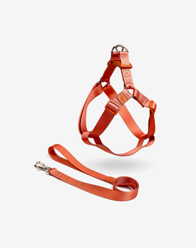 Conjunto Peitoral Step In e Guia Coral