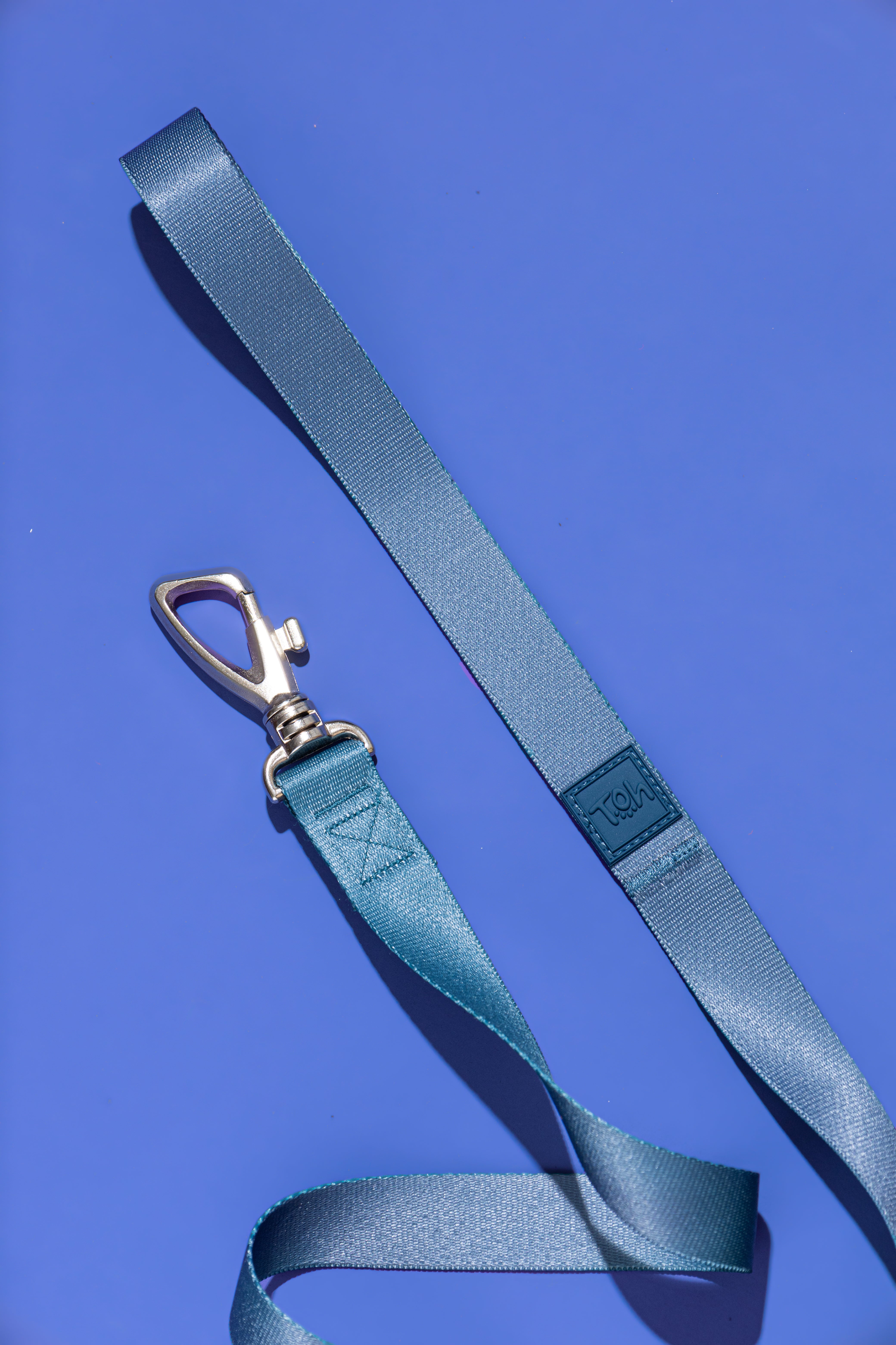 Conjunto Peitoral Tradicional e Guia Marine