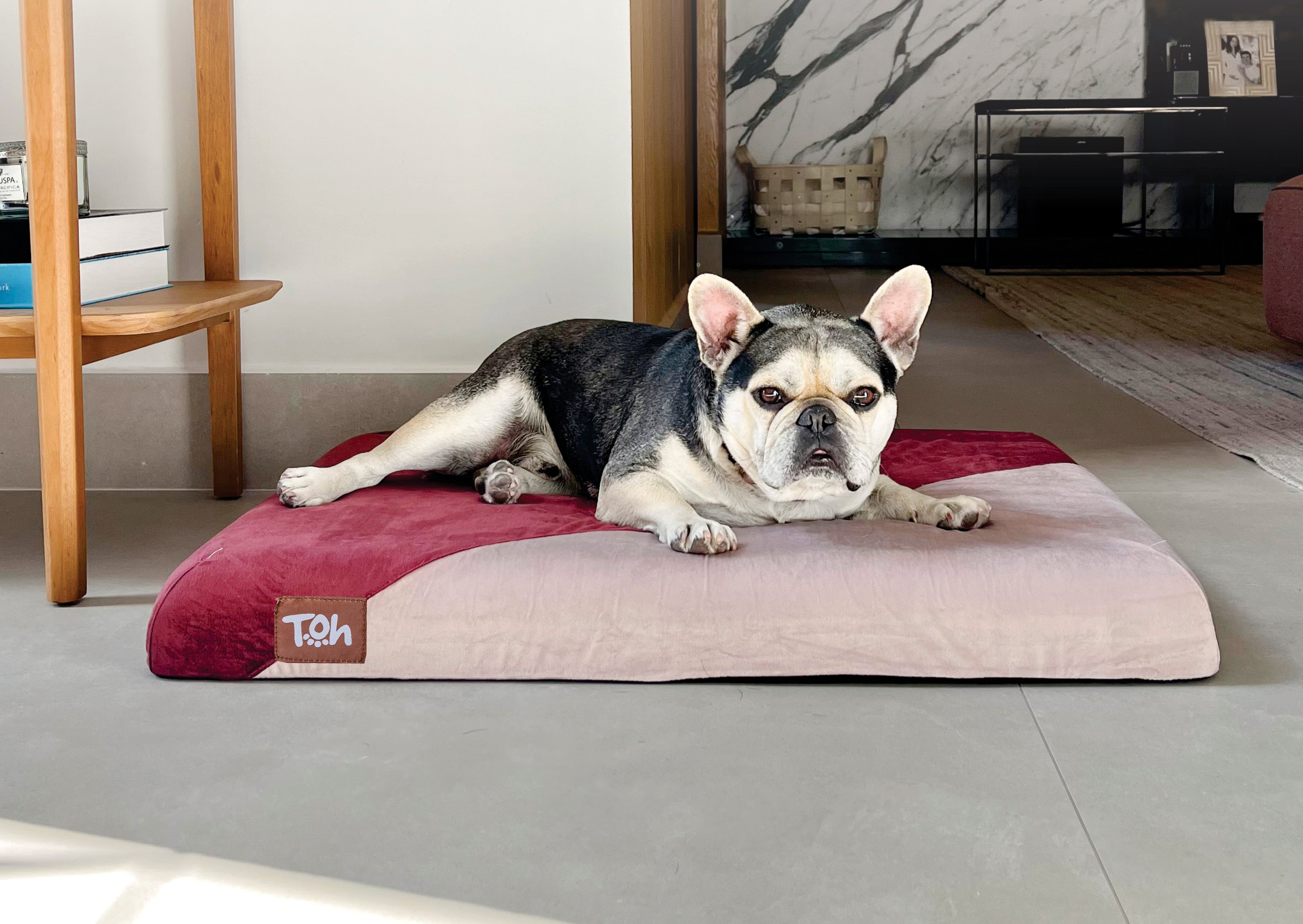 Dog on sale futon bed