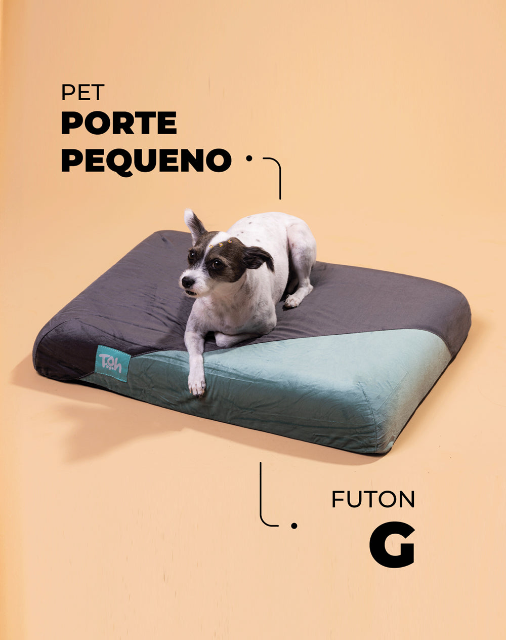 Futon Toh  Ortopédico Acqua