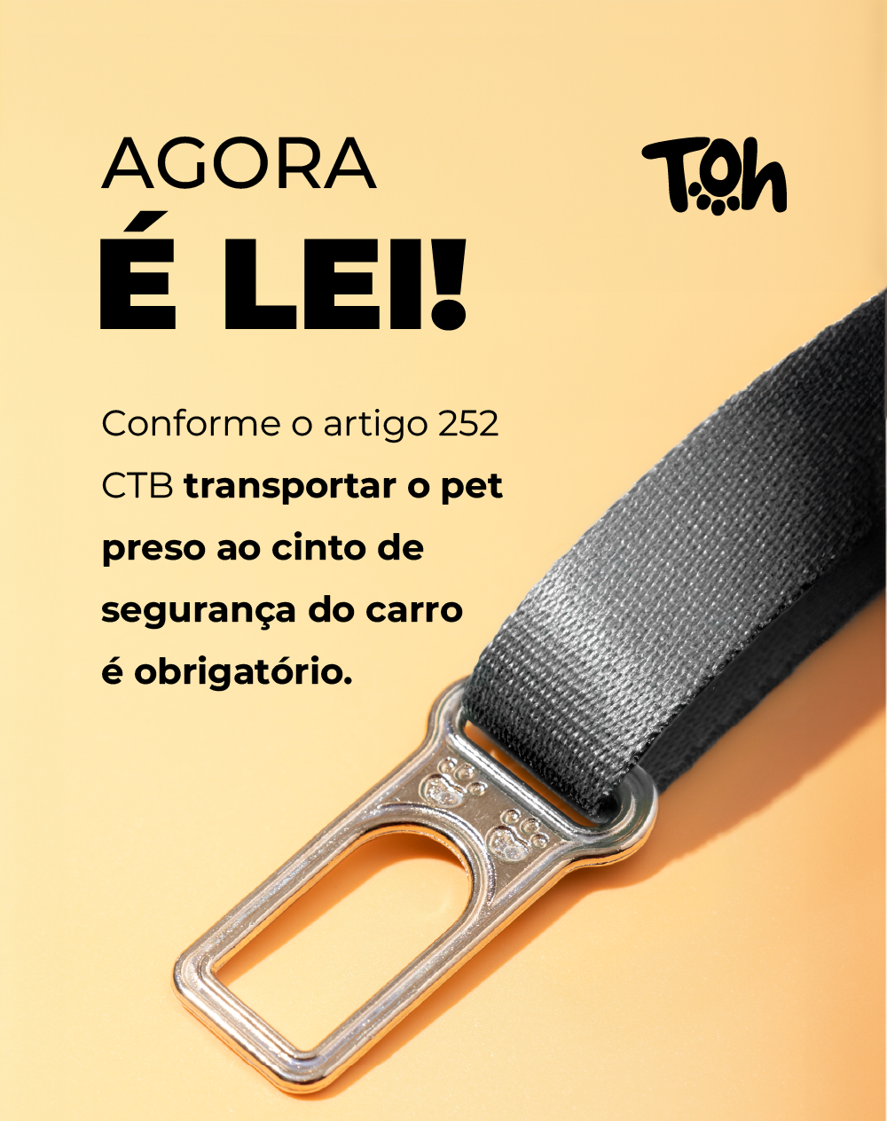 Adaptador de Cinto de Segurança Maresia
