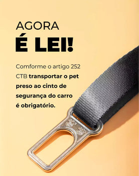 Adaptador de Cinto de Segurança Azul