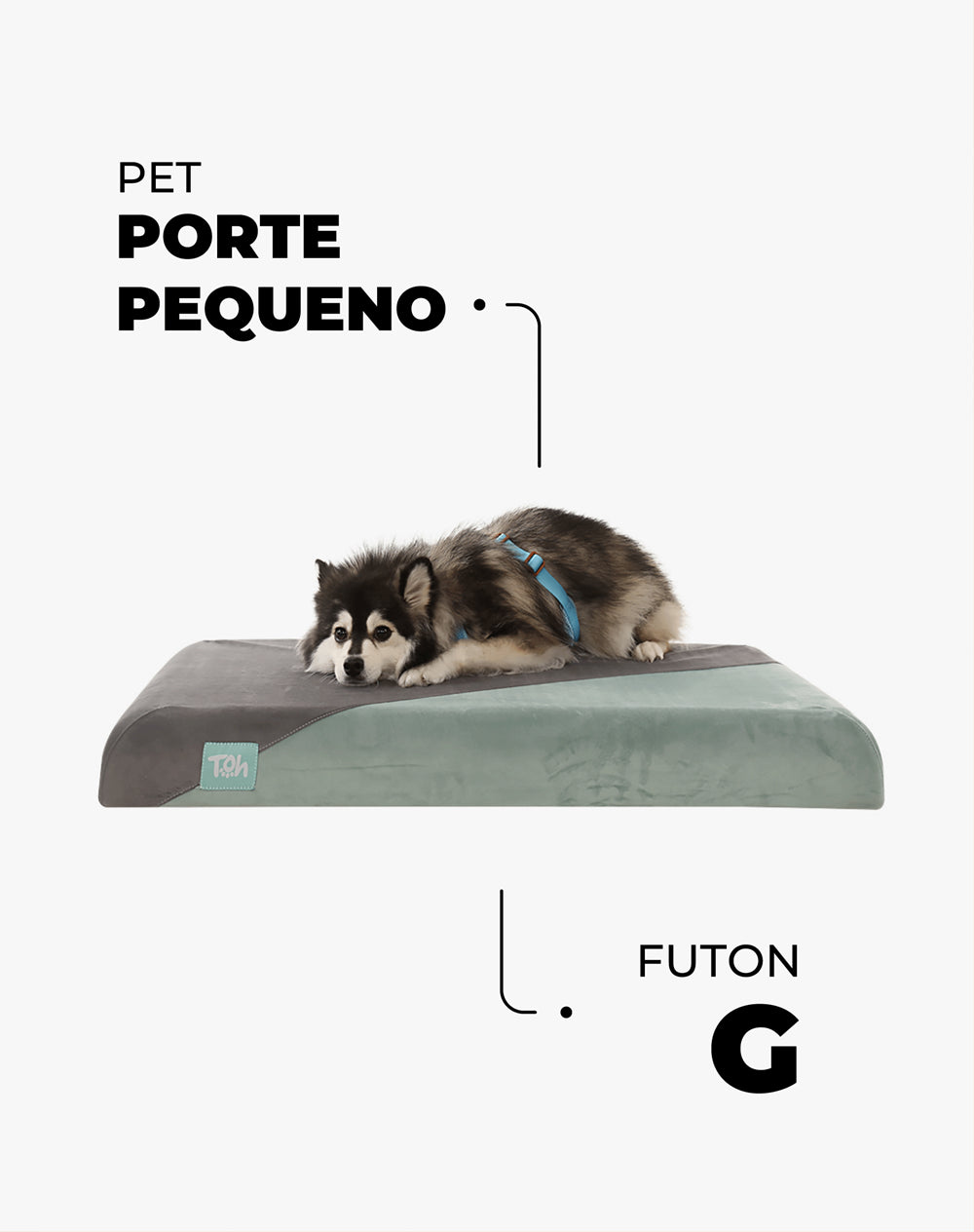 Futon Toh  Ortopédico Acqua