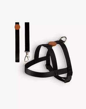 Conjunto Peitoral Tradicional e Guia Black