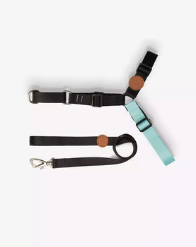 Conjunto Peitoral Antipuxão e Guia Black