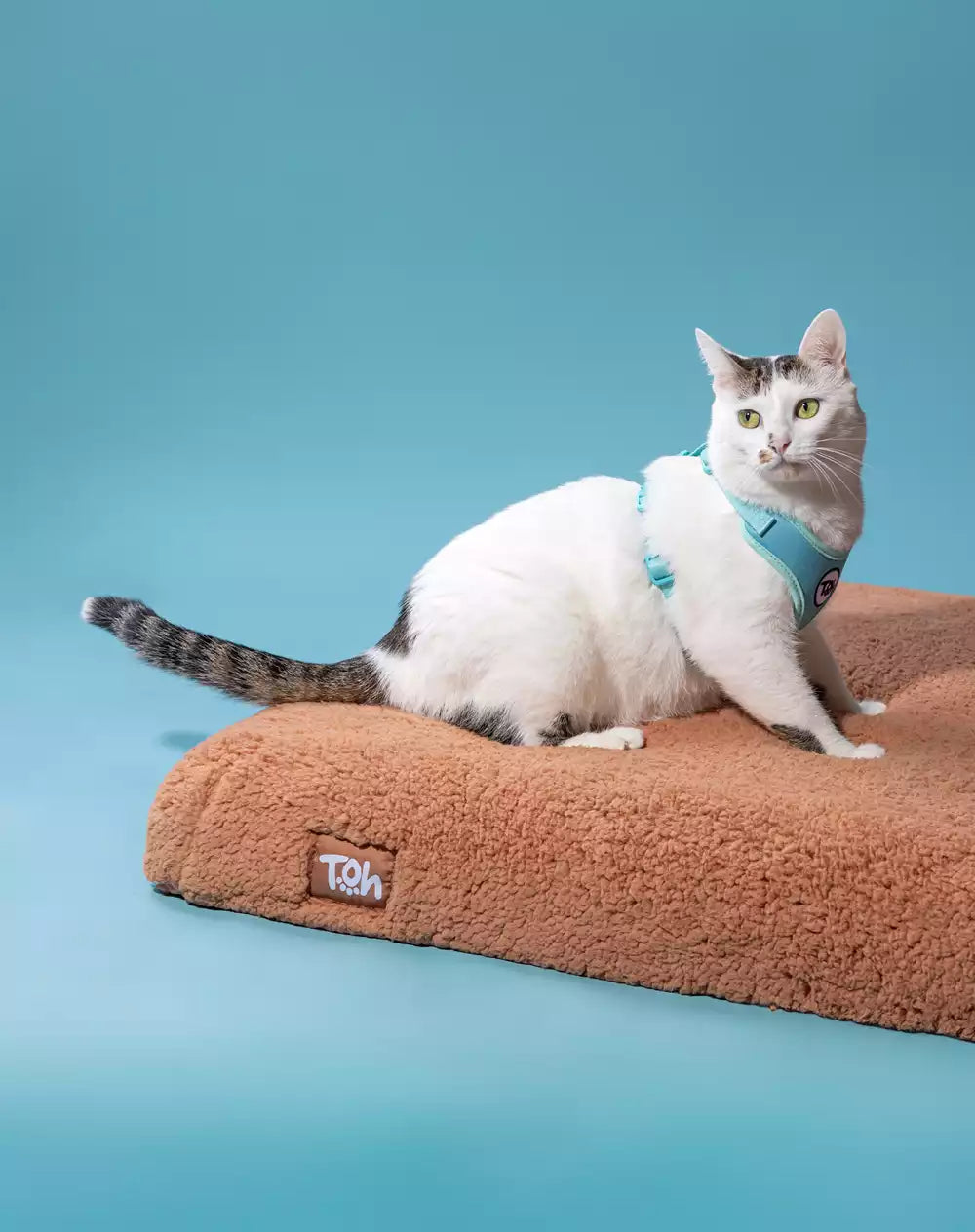 Capa Futon Coleção Teddy Camel