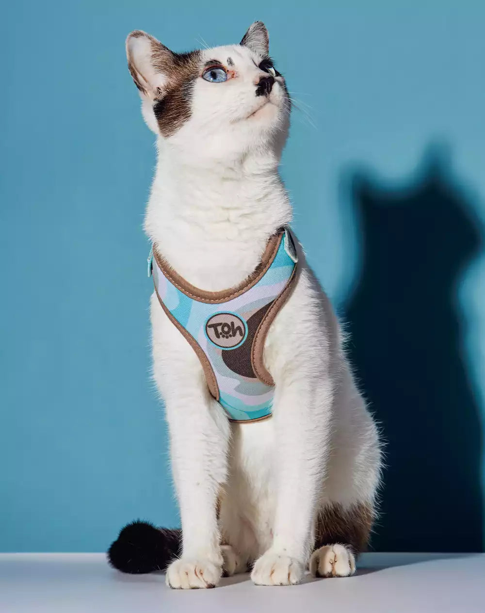 Conjunto Peitoral Neocomfy e Guia para Gatos Swell