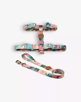 Conjunto Peitoral H e Guia Laguna