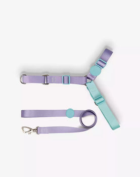 Conjunto Peitoral Antipuxão e Guia Lilás
