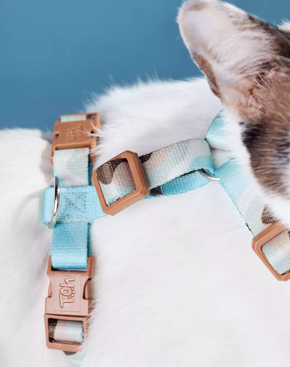 Conjunto Peitoral Neocomfy e Guia para Gatos Swell