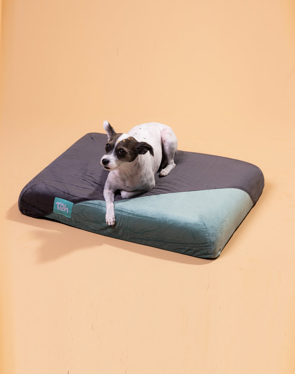 Futon Toh  Ortopédico Acqua