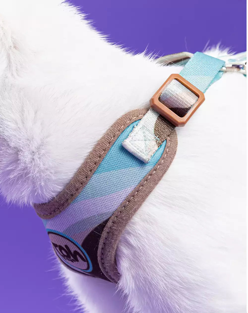 Conjunto Peitoral Neocomfy e Guia para Gatos Swell