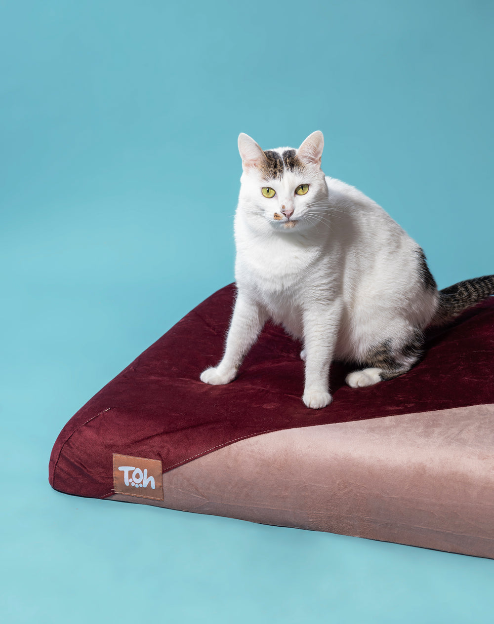 Futon Toh Ortopédico Malbec