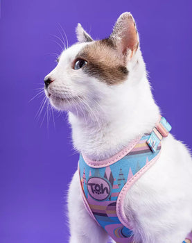 Conjunto Peitoral Neocomfy e Guia para Gatos Atacama