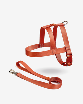 Conjunto Peitoral Tradicional e Guia Coral
