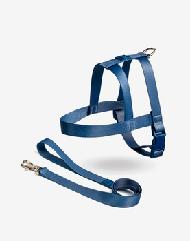 Conjunto Peitoral Tradicional e Guia Marine