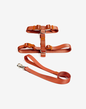 Conjunto Peitoral H e Guia Coral