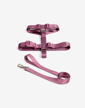 Conjunto Peitoral H e Guia Bruma