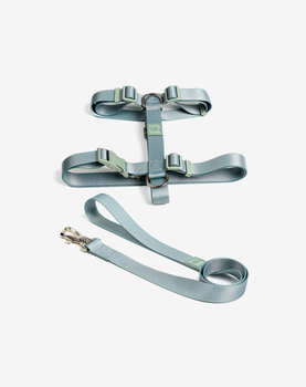 Conjunto Peitoral H e Guia Alga