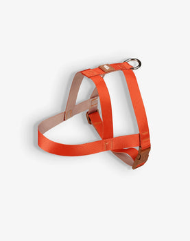 Peitoral Tradicional Avulso Basic Laranja - Caqui