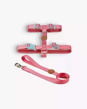 Conjunto Peitoral H e Guia Fiji