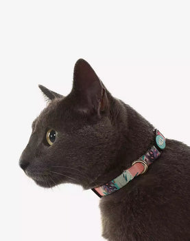 Coleira de Gato Laguna