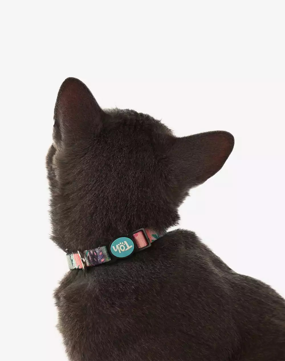Coleira de Gato Laguna
