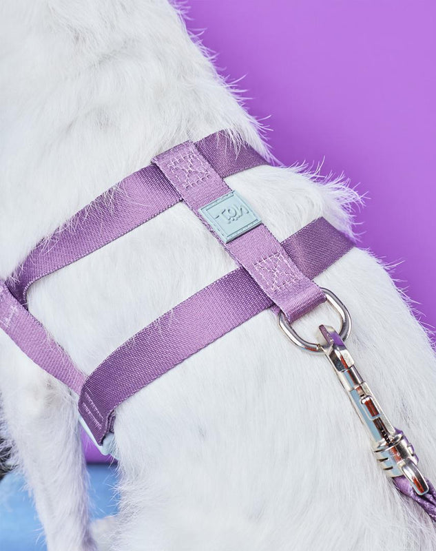 Peitoral Tradicional Basic Blossom